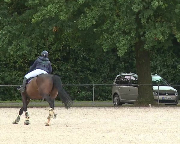 Reitturnier Rot am See- Musdorf 2023