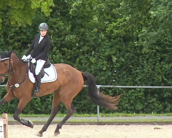 Reitturnier Rot am See- Musdorf 2023