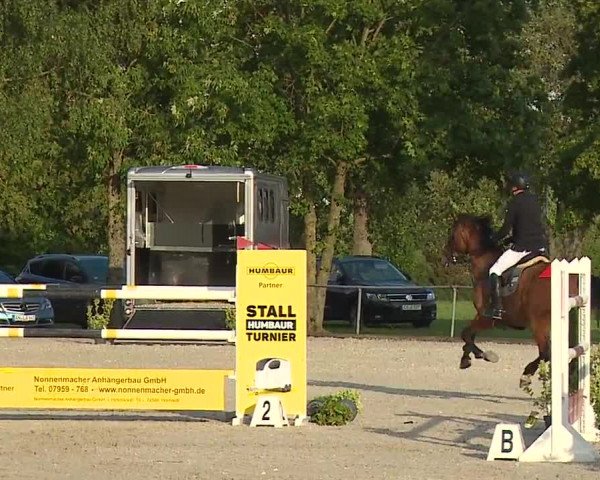 Reitturnier Rot am See- Musdorf 2023