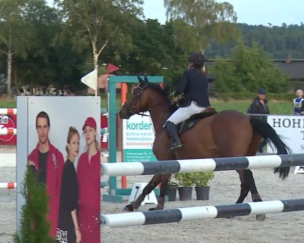 Reitturnier Rot am See- Musdorf 2023