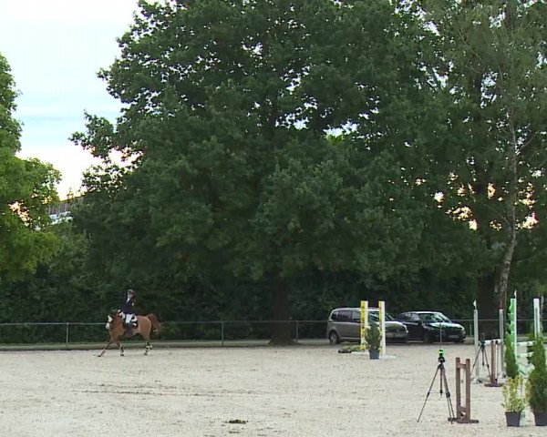 Reitturnier Rot am See- Musdorf 2023