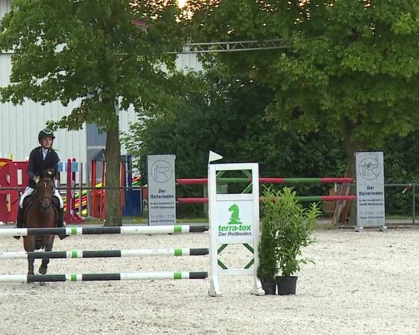 Reitturnier Rot am See- Musdorf 2023