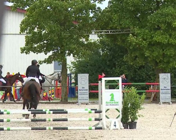 Reitturnier Rot am See- Musdorf 2023