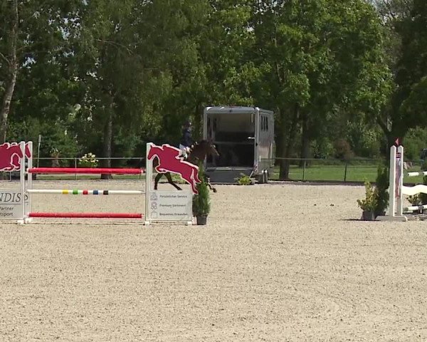Reitturnier Rot am See- Musdorf 2023