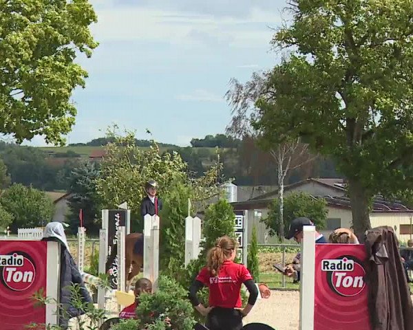 Reitturnier Rot am See- Musdorf 2023