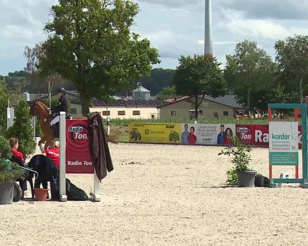 Reitturnier Rot am See- Musdorf 2023
