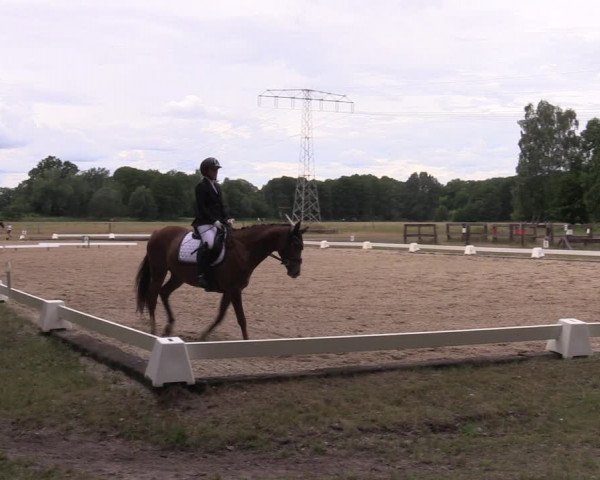 Reitturnier Gallinchen 2023
