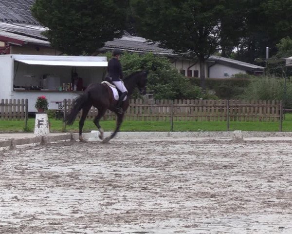 Reitturnier Breiholz/ Schülp 2023