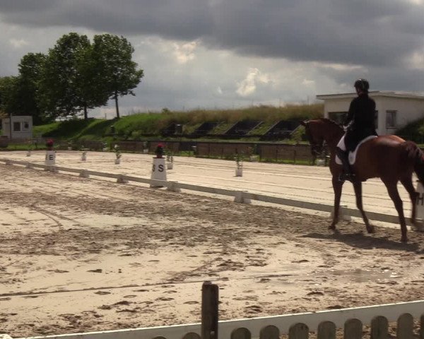 Reitturnier Breiholz/ Schülp 2023