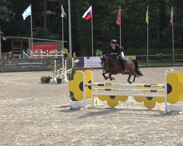 Reitturnier Klein Roscharden 2023