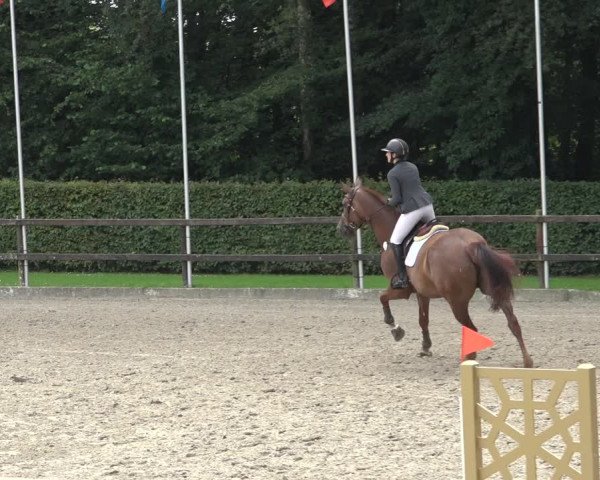 Reitturnier Klein Roscharden 2023