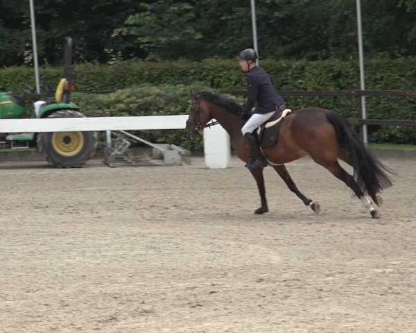 Reitturnier Klein Roscharden 2023
