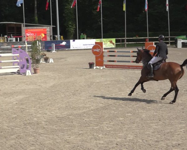 Reitturnier Klein Roscharden 2023
