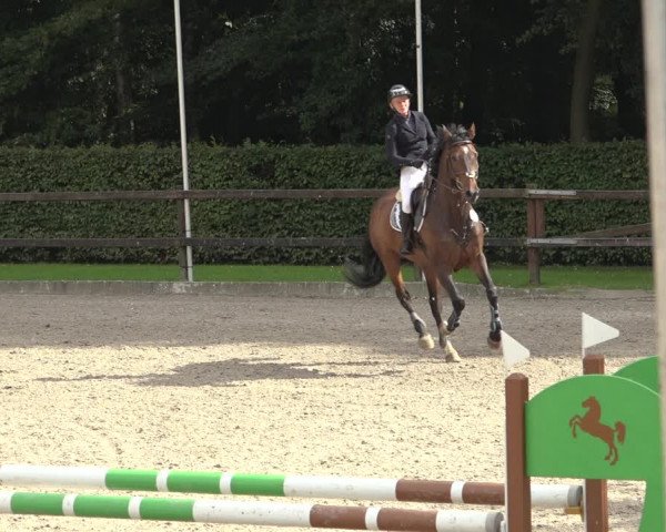 Reitturnier Klein Roscharden 2023