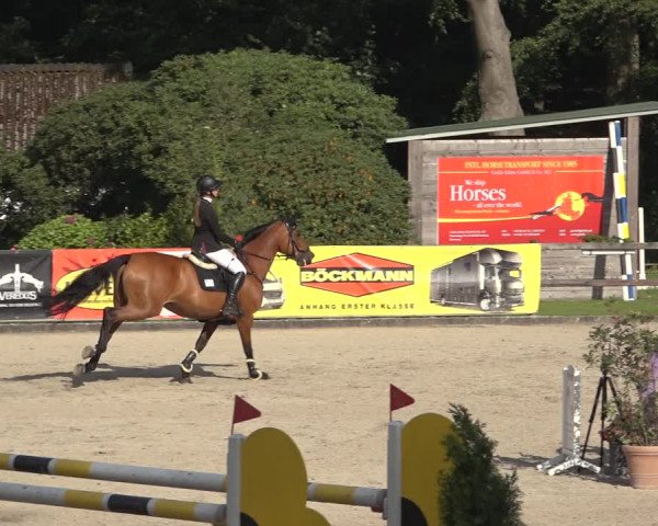 Reitturnier Klein Roscharden 2023