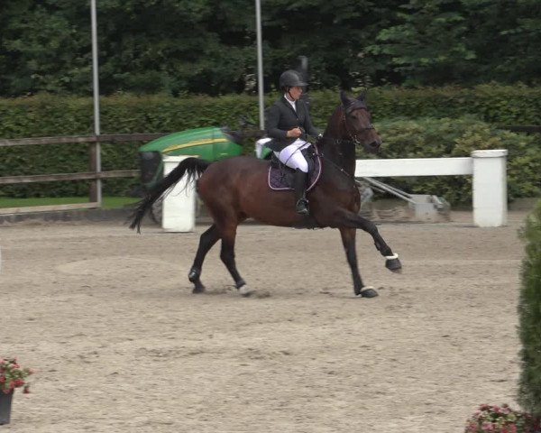 Reitturnier Klein Roscharden 2023