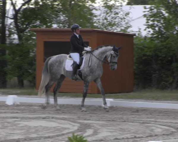 Reitturnier Baschütz bei Bautzen 2023