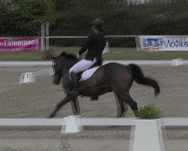 Reitturnier Baschütz bei Bautzen 2023