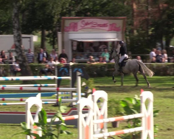 Reitturnier Etingen 2023