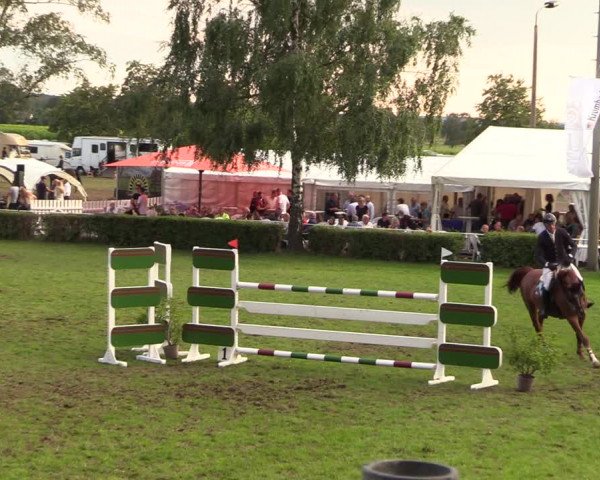 Reitturnier Etingen 2023