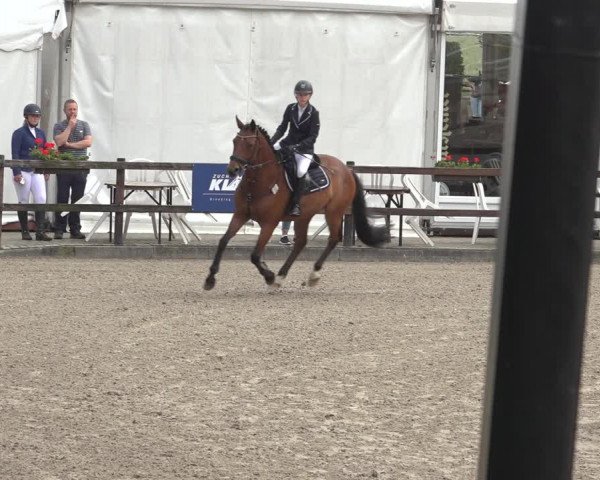 Reitturnier Klein Roscharden 2023