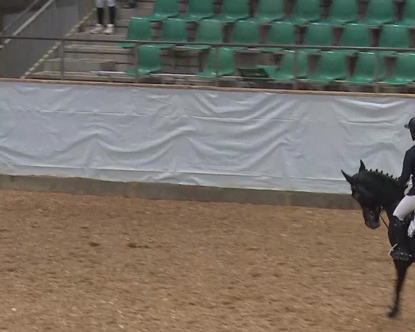 Springturnier Kreuth 2021