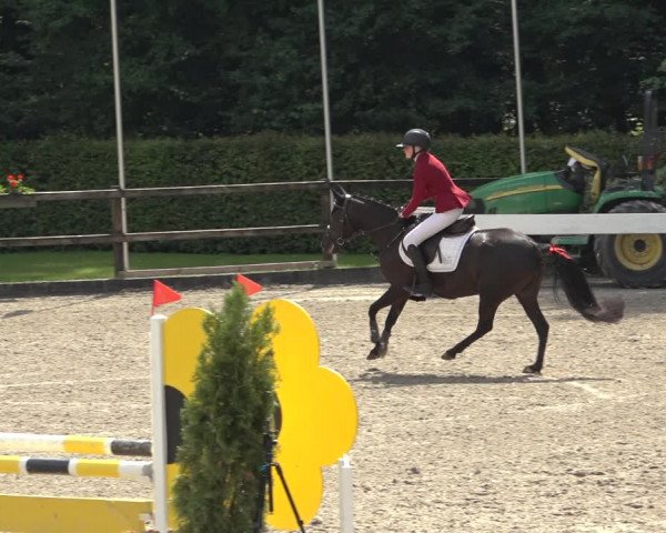 Reitturnier Klein Roscharden 2023