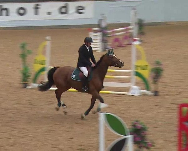 Springturnier Kreuth 2021