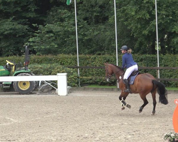 Reitturnier Klein Roscharden 2023