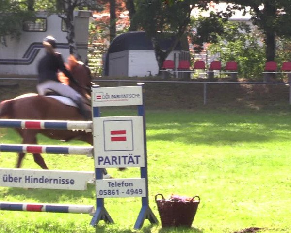 Reitturnier Dannenberg 2023