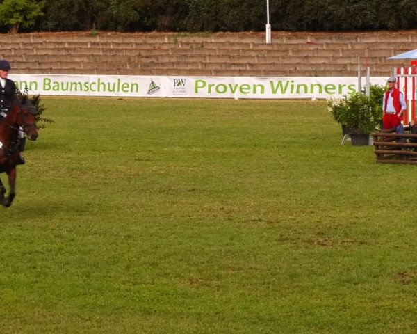 Reitturnier Baschütz bei Bautzen 2023