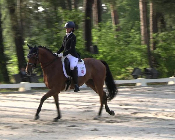 Reitturnier Dannenberg 2023