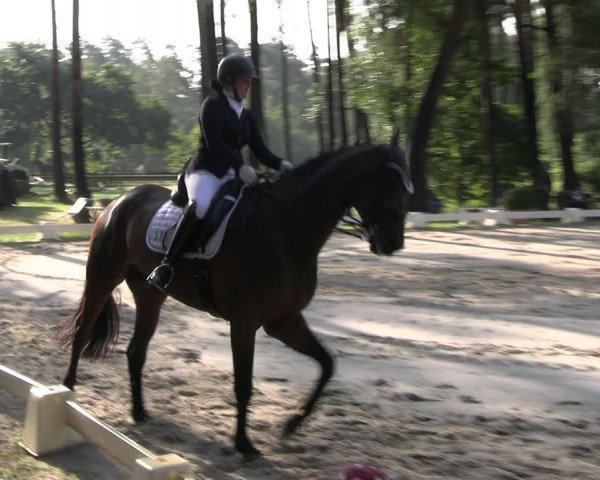 Reitturnier Dannenberg 2023