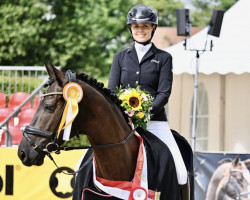 dressage horse Voller Emotionen NRW (Westphalian, 2017, from Vitalis)