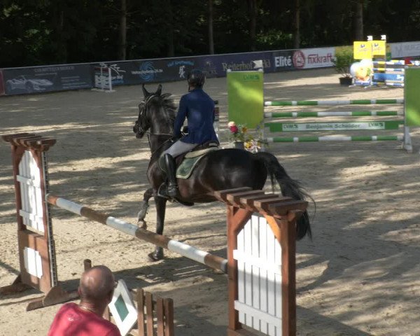 Reitturnier Karlsfeld 2023