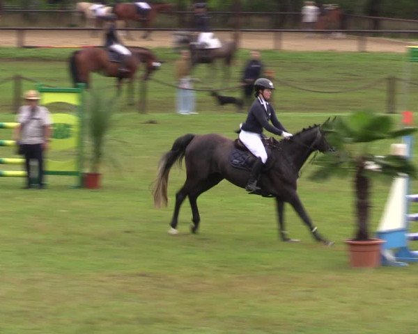 Reitturnier Gallinchen 2023