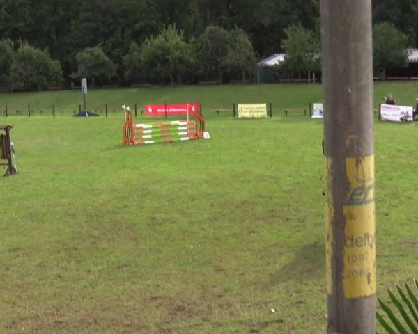 Reitturnier Gallinchen 2023