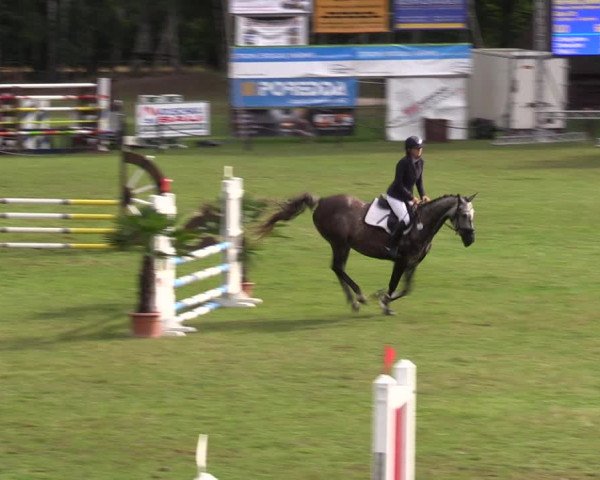 Reitturnier Gallinchen 2023