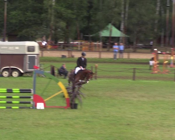 Reitturnier Gallinchen 2023