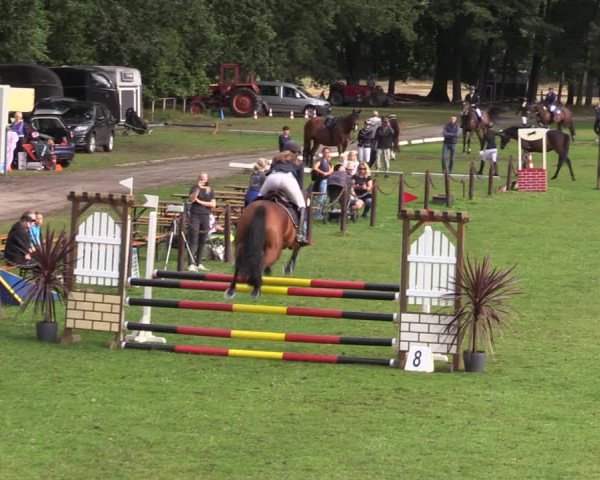 Reitturnier Gallinchen 2023