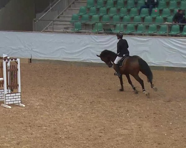 Springturnier Kreuth 2021