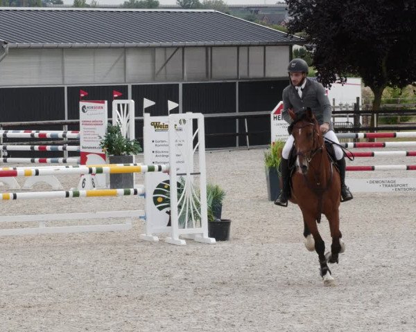 Reitturnier Worms-Pfeddersheim / Reitsportanlage Wittemer 2023