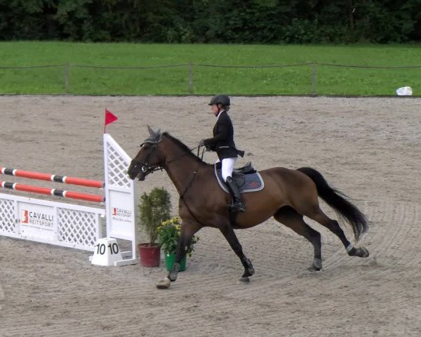Reitturnier Gossau 2023