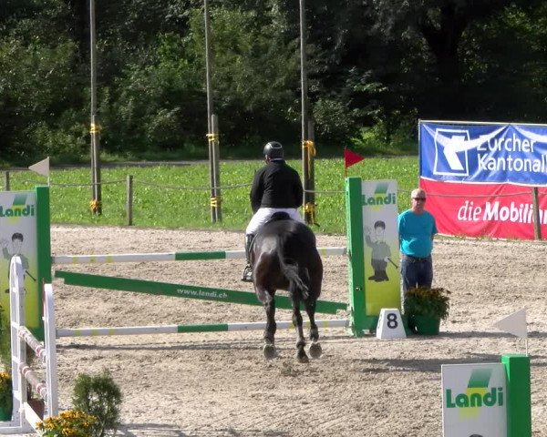 Reitturnier Gossau 2023