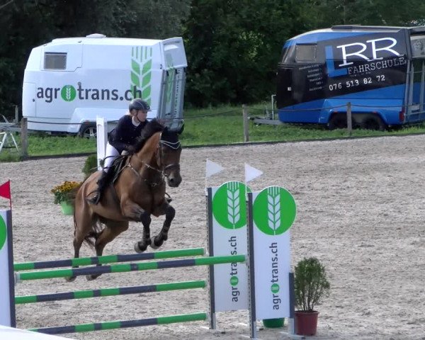 Reitturnier Gossau 2023
