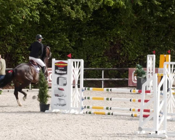 Reitturnier Worms-Pfeddersheim / Reitsportanlage Wittemer 2023