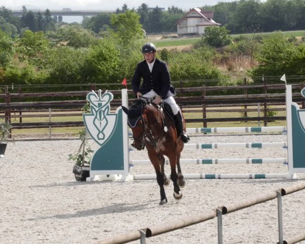 Reitturnier Worms-Pfeddersheim / Reitsportanlage Wittemer 2023
