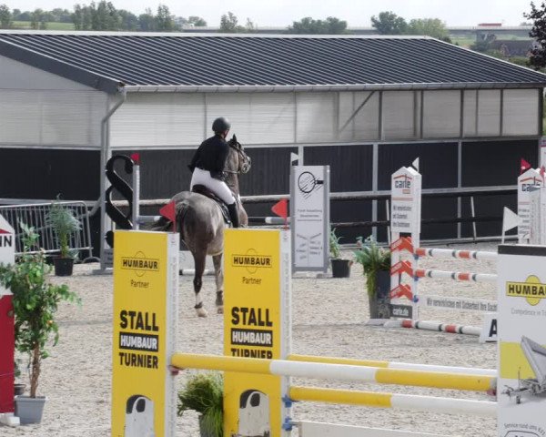 Reitturnier Worms-Pfeddersheim / Reitsportanlage Wittemer 2023