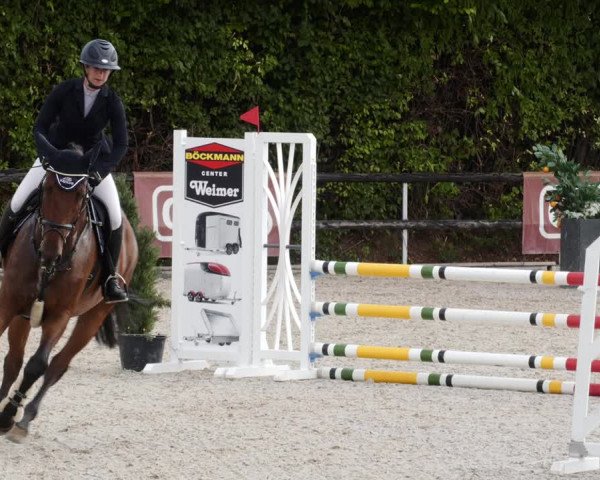 Reitturnier Worms-Pfeddersheim / Reitsportanlage Wittemer 2023
