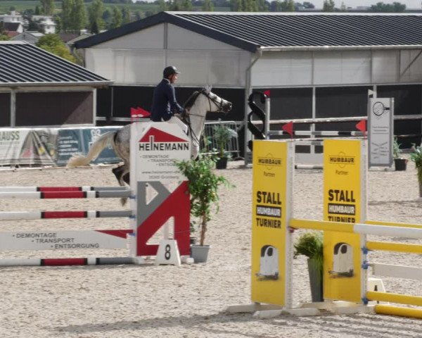 Reitturnier Worms-Pfeddersheim / Reitsportanlage Wittemer 2023